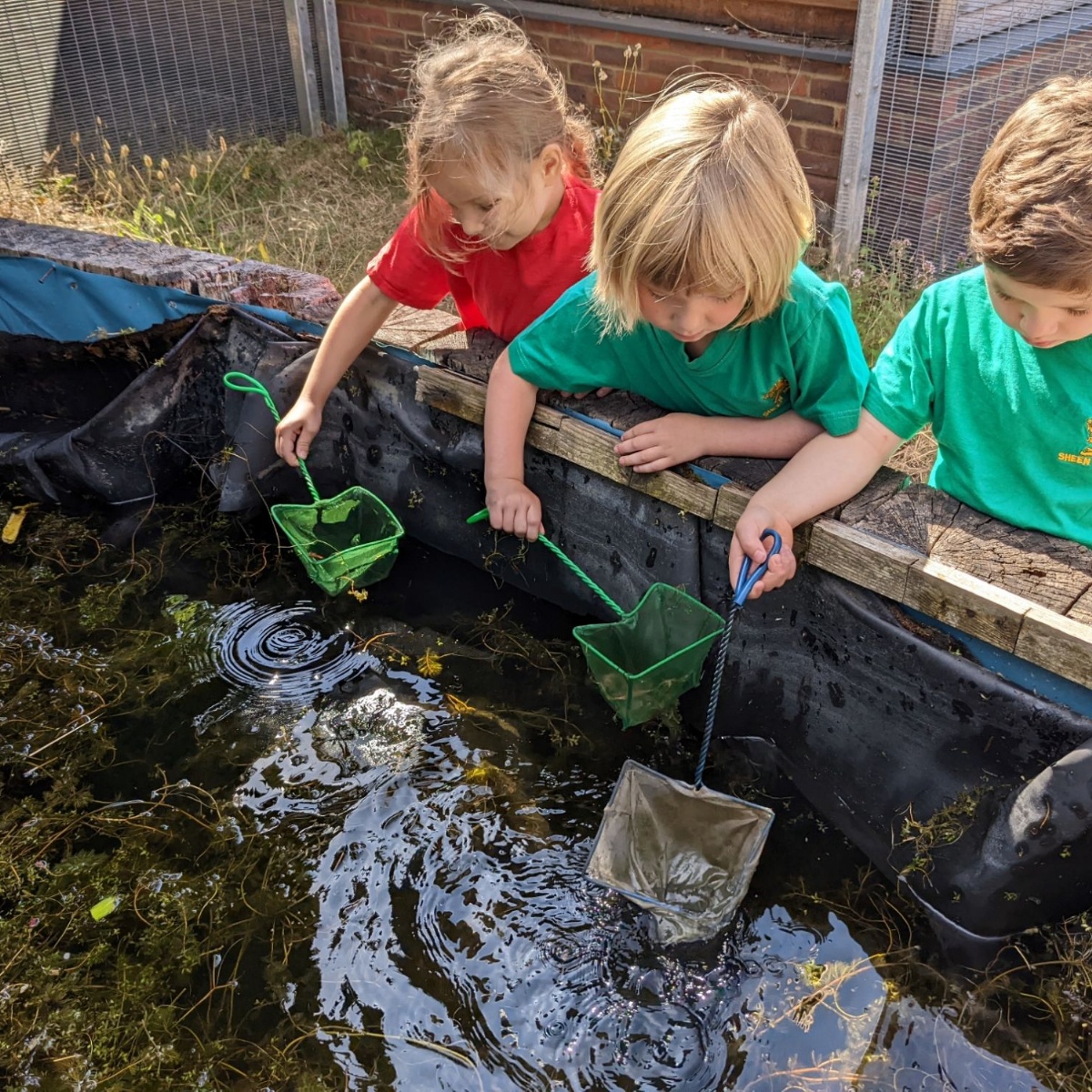 Sheen Mount Primary Pond Dipping And Visiting Our New Classrooms